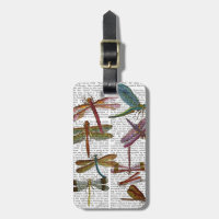Dragonfly Print 4