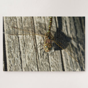Dragonfly Puzzle