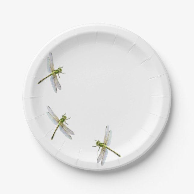 Dragonfly’s Paper Plate (Front)