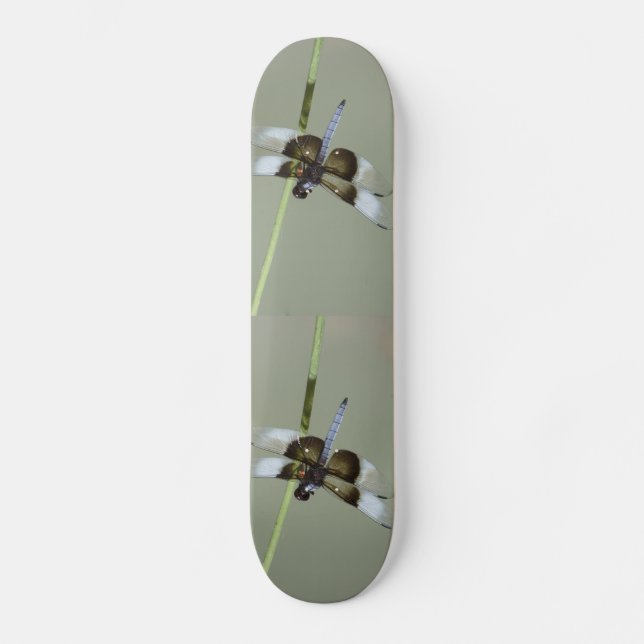Dragonfly Skateboard (Front)