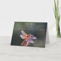 Dragonfly Spring Equinox Blessing with Poem