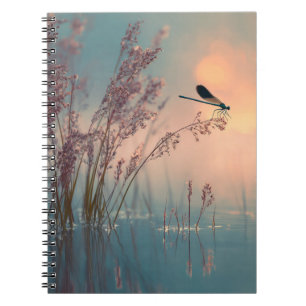 Dragonfly Sunset Reflection Notebook