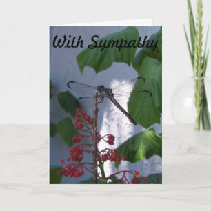 Dragonfly sur la carte Sympathy