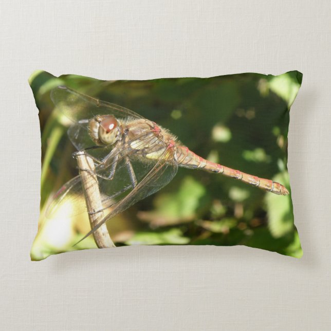 Dragonfly sur un Coussin de Twig (Devant)