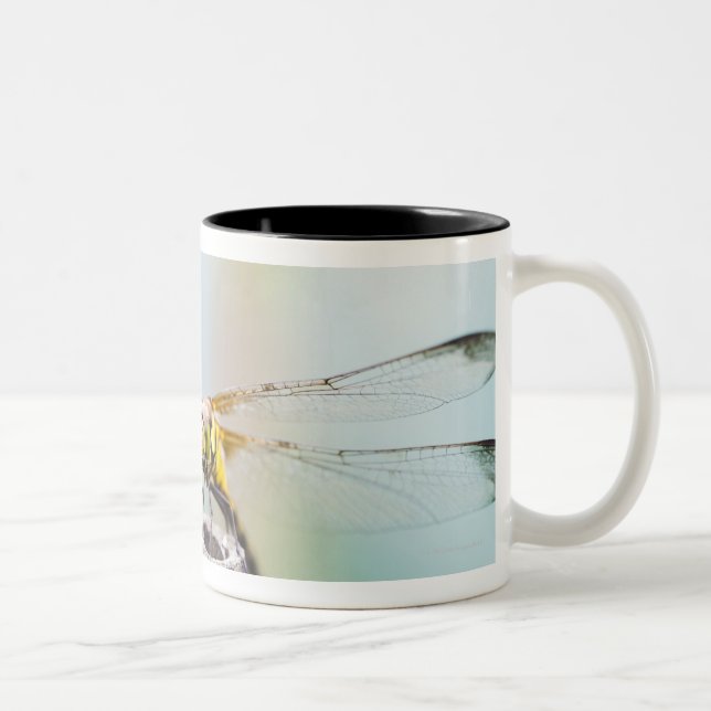 Dragonfly (Sympetrum infuscatum) 2 Two-Tone Coffee Mug (Right)
