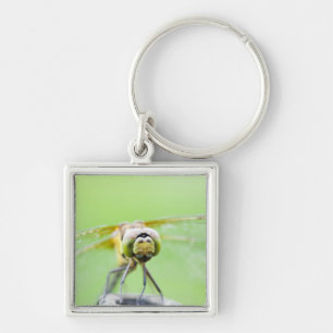 Dragonfly (Sympetrum infuscatum) Keychain