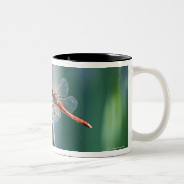 Dragonfly Two-Tone Coffee Mug (Right)