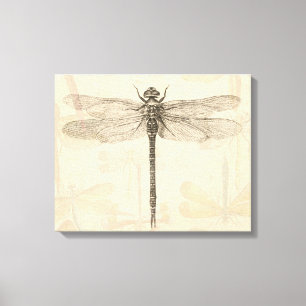 Dragonfly Vintage Antique Classic Nature Canvas Print