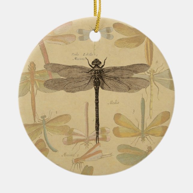 Dragonfly Vintage Antique Classic Nature Ceramic Ornament (Front)