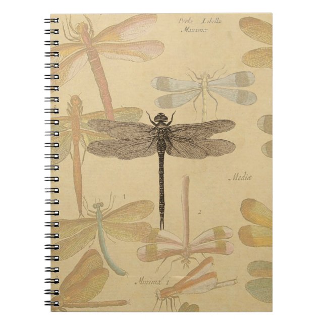 Dragonfly Vintage Antique Classic Nature Notebook (Front)