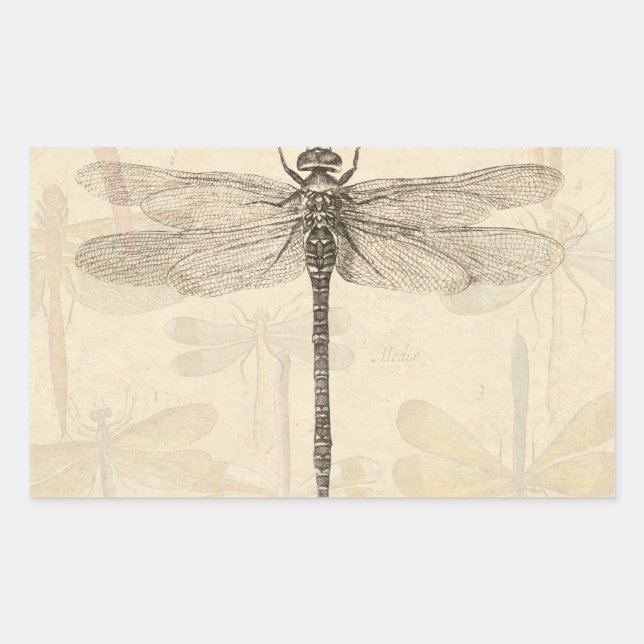 Dragonfly Vintage Antique Classic Nature Sticker (Front)