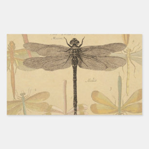 Dragonfly Vintage Antique Classic Nature Sticker