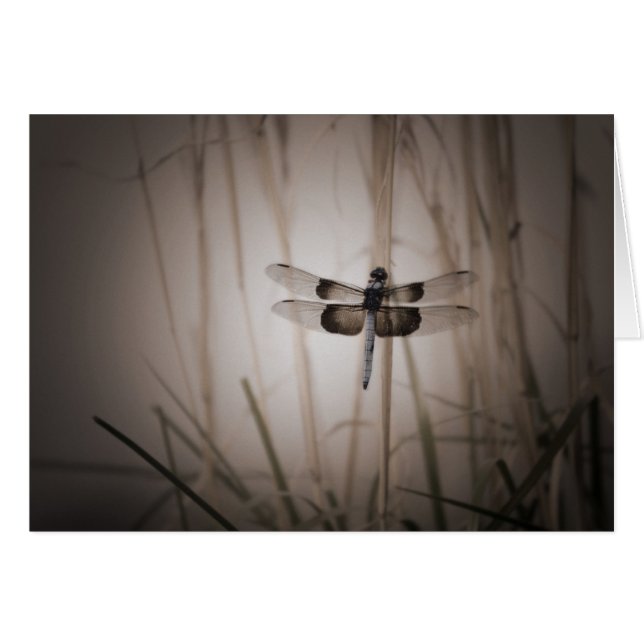 Dragonfly - Vintage look (Front Horizontal)