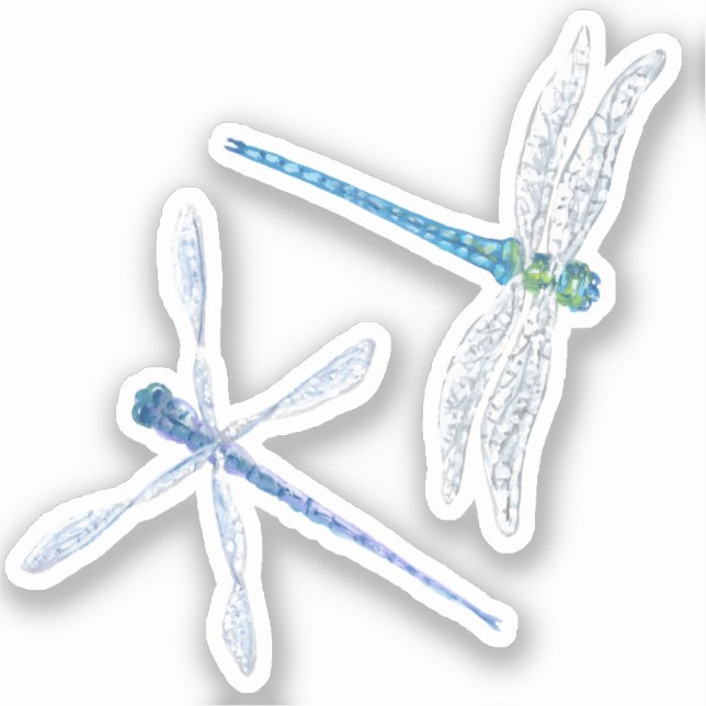 Dragonfly Vinyl Stickers (Front)