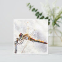 Dragonfly Watercolor Pastel White Background