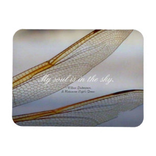 Dragonfly Wings Macro with Shakespeare Quote  Magnet