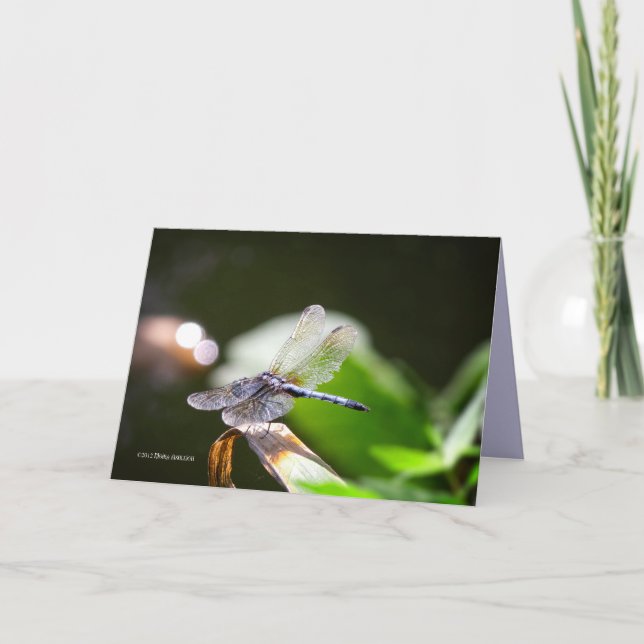 Dragonfly with bokeh card (Front)