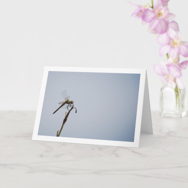 Dragonfly with Cane Stick Card (Orchid)