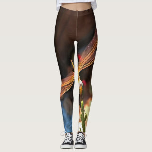 Dragonfly With Sunlight Gilded Wings Leggings