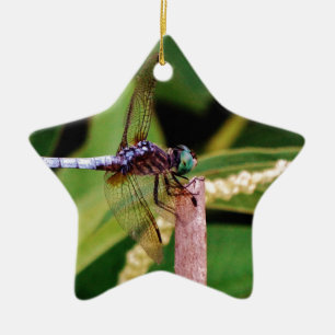 Dragonfly with white flowers ceramic ornament