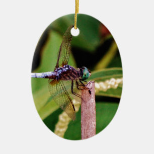Dragonfly with white flowers ceramic ornament