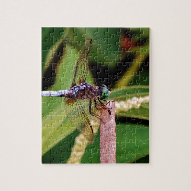 Dragonfly with white flowers jigsaw puzzle (Vertical)
