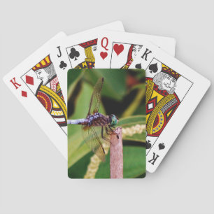 Dragonfly with white flowers playing cards