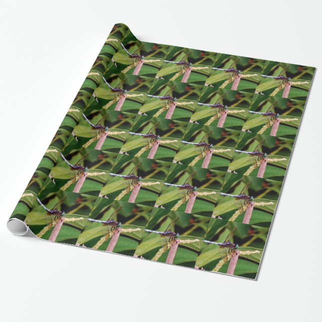 Dragonfly with white flowers wrapping paper (Unrolled)