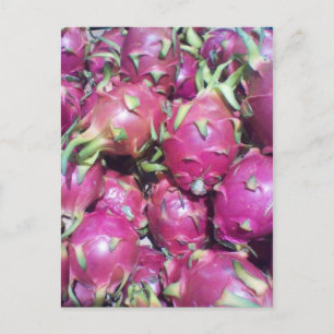 Dragonfruit postcard