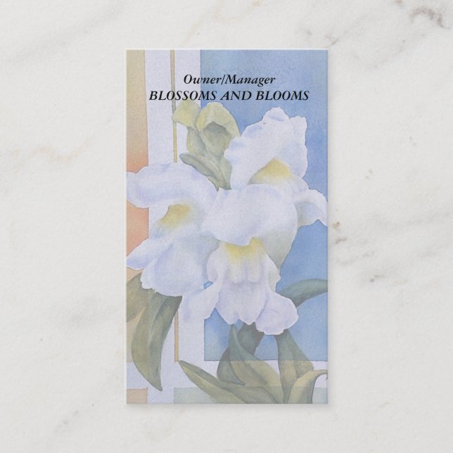 DRAGONS SNAP BLANCS CARTES DE VISITE PERSONNALISAB (Devant)