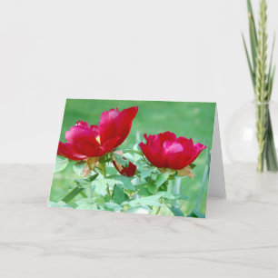 Dragons, Tigers and Peonies V Card