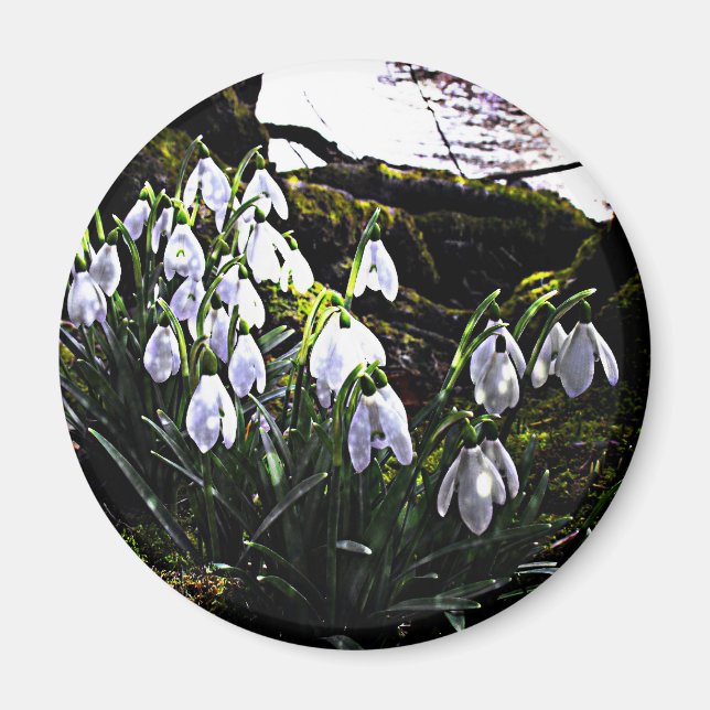 Drains de neige par River Hafren Fridge Magnet (Devant)