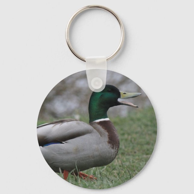 Drake Mallard Duck Keychain (Front)