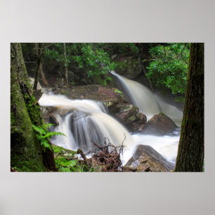 Drakes Creek Falls Poster