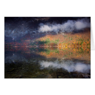 Drama by the Lake