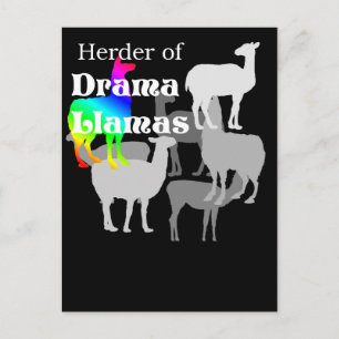 Drama Llama Herder Postcard