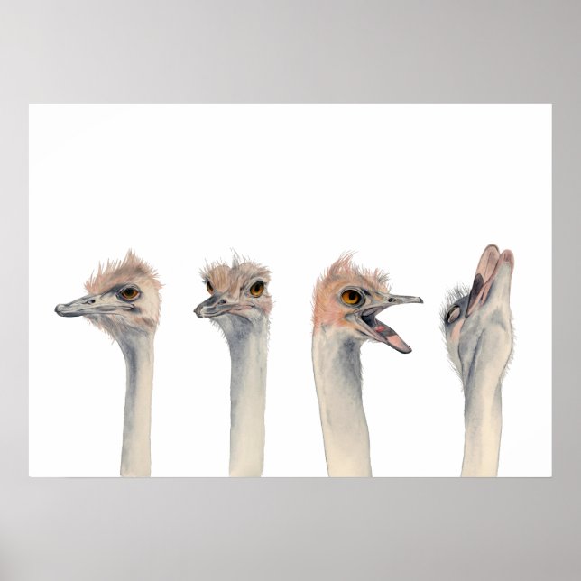 Drama Queen | Funny Ostrich Watercolor Painting Poster (Front)