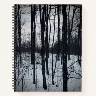Dramatic Black and White Landscape Notebook