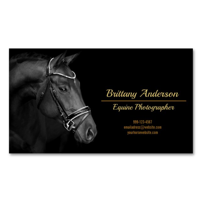 Dramatic Black White Gold Horse Photographer Magnetic Business Card (Front)