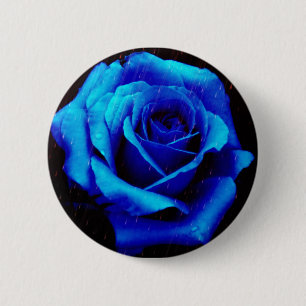 Dramatic Blue Rose 2 Inch Round Button