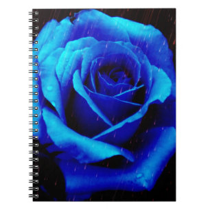 Dramatic Blue Rose Notebook