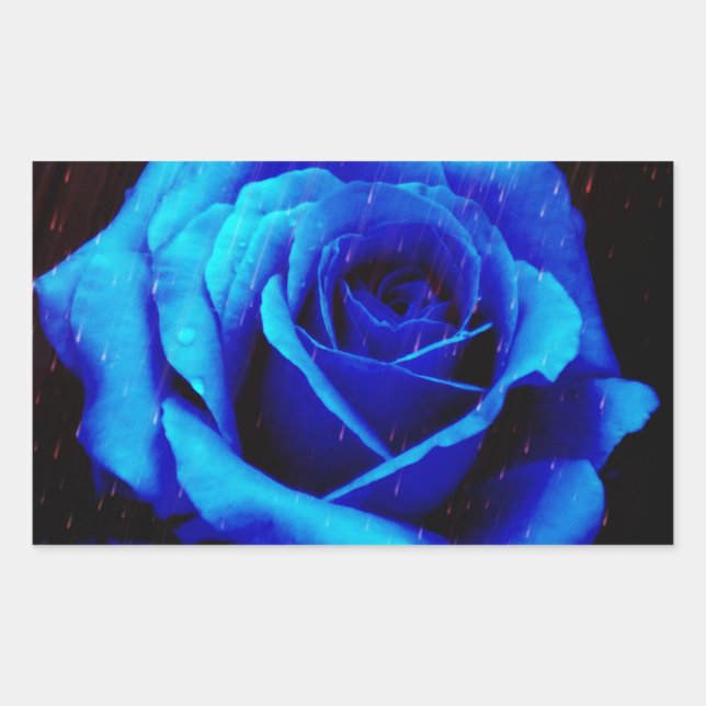 Dramatic Blue Rose Sticker (Front)