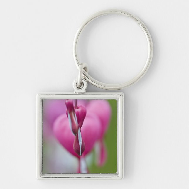 Dramatic colour and shape of bleeding heart keychain (Front)