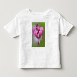 Dramatic colour and shape of bleeding heart toddler t-shirt