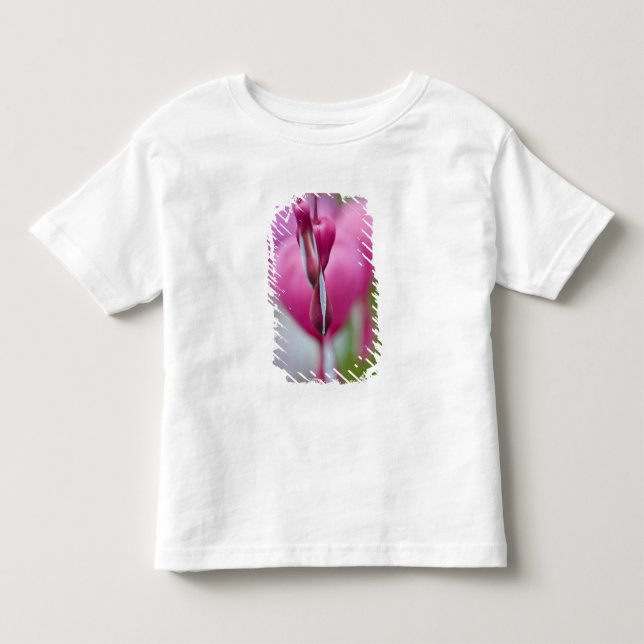 Dramatic colour and shape of bleeding heart toddler t-shirt (Front)