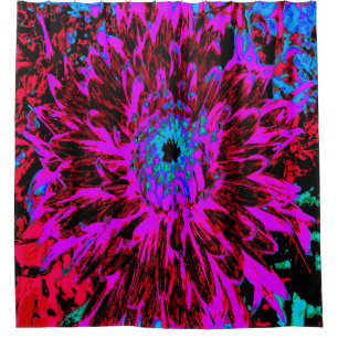 Dramatic Crimson Red, Purple and Black Dahlia