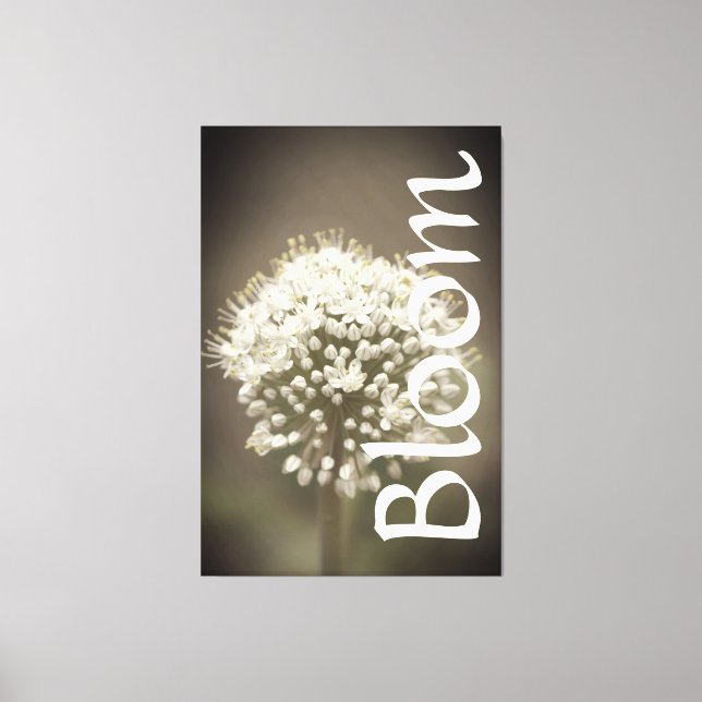 Dramatic Garden Bloom Canvas Print (Front)