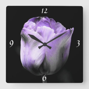 Dramatic Lavender Purple N Silver Tulip On Black Square Wall Clock
