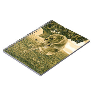 Dramatic Lioness Safari Wildlife Art Notebook