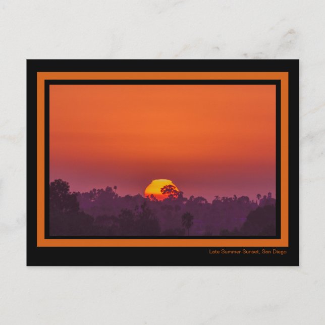 Dramatic Orange Sunset Palm Tree Sun Pink Summer Postcard (Front)